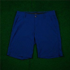 Under Armour Blue Horizontal Striped Shorts